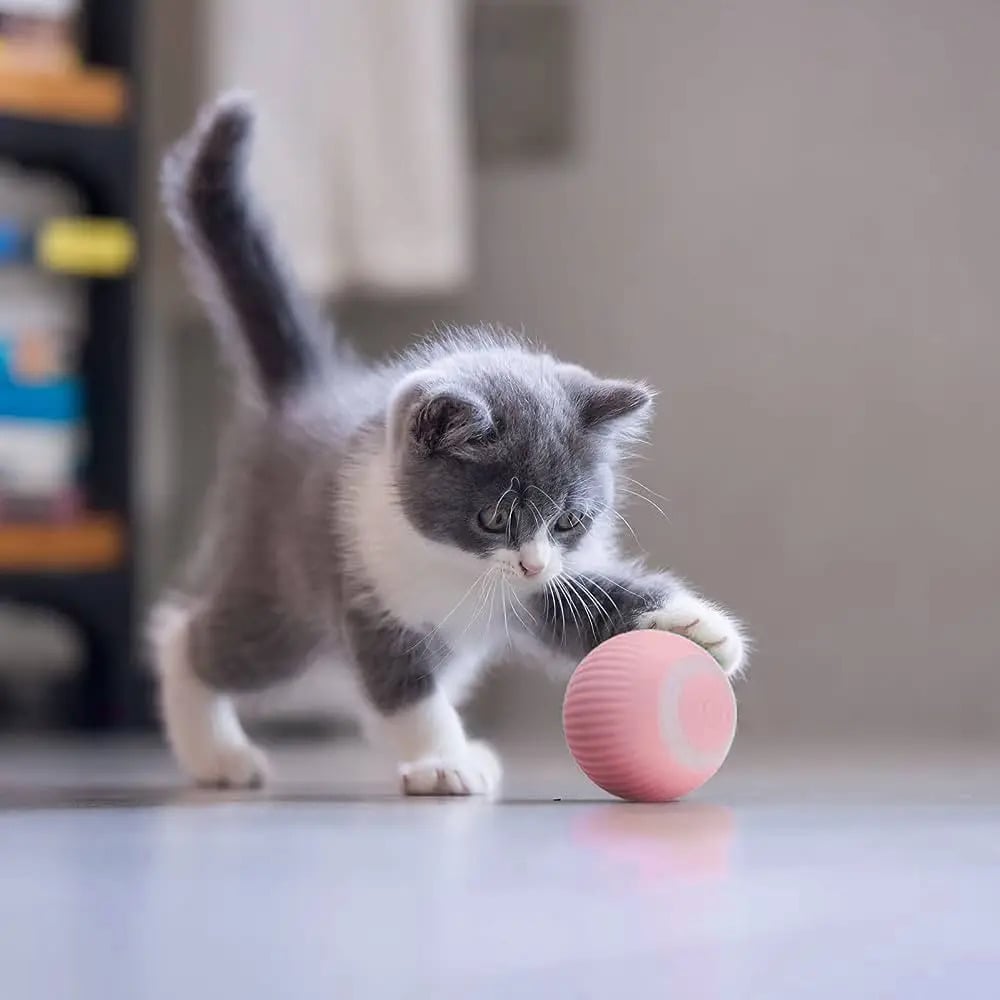 TurboPet Ball