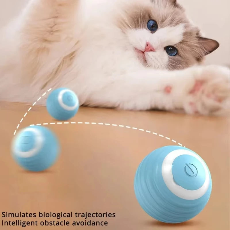 TurboPet Ball