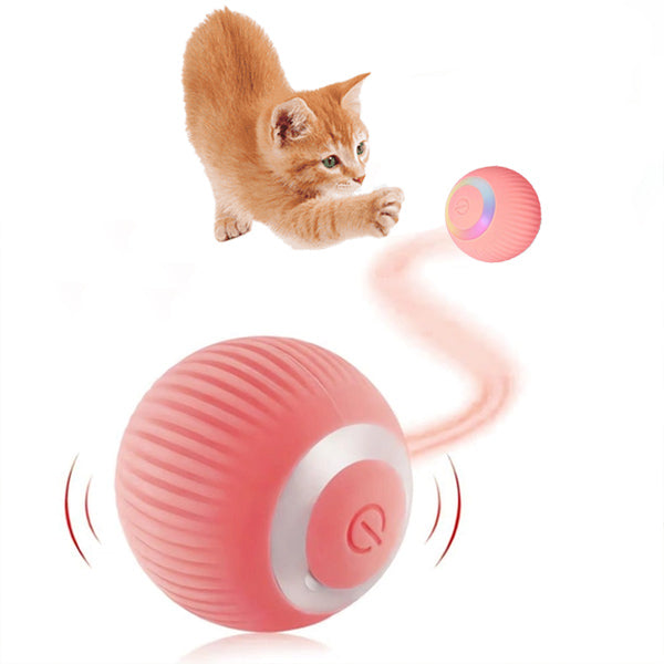 TurboPet Ball