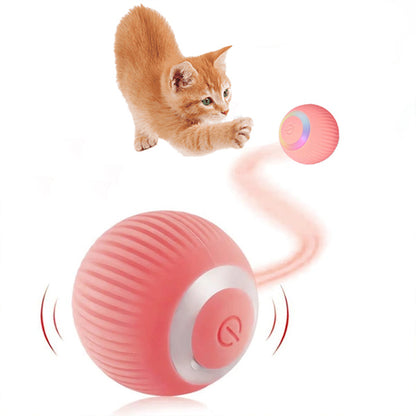 TurboPet Ball